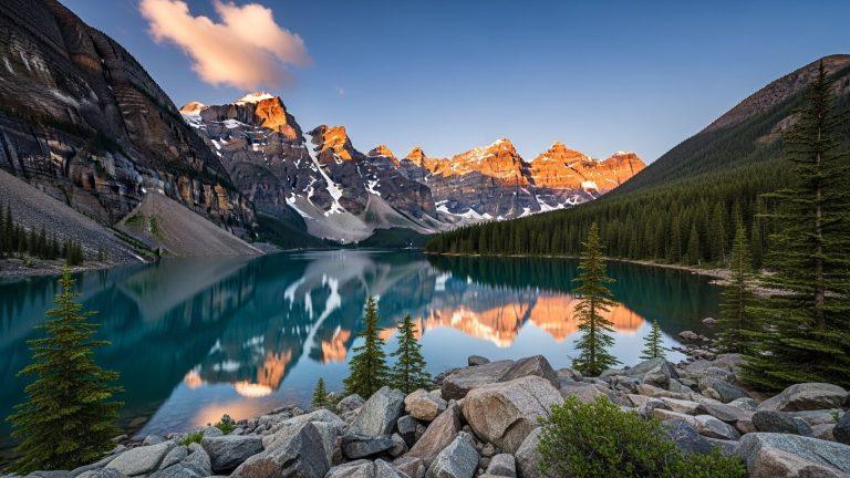 Whisk_9fbf0016a1520fda9c44eaf118fe94e7dr