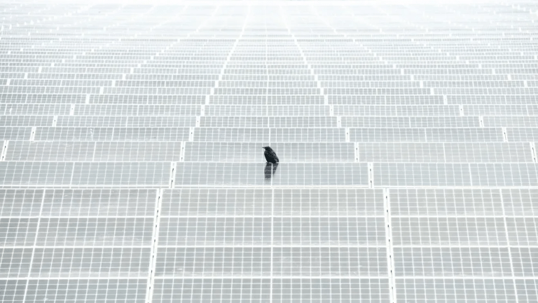 neymar Photography Brazil: Neymar, Photography Brazil, and the Visua