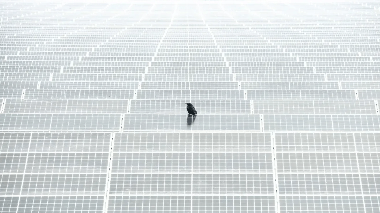 neymar Photography Brazil: Neymar, Photography Brazil, and the Visua