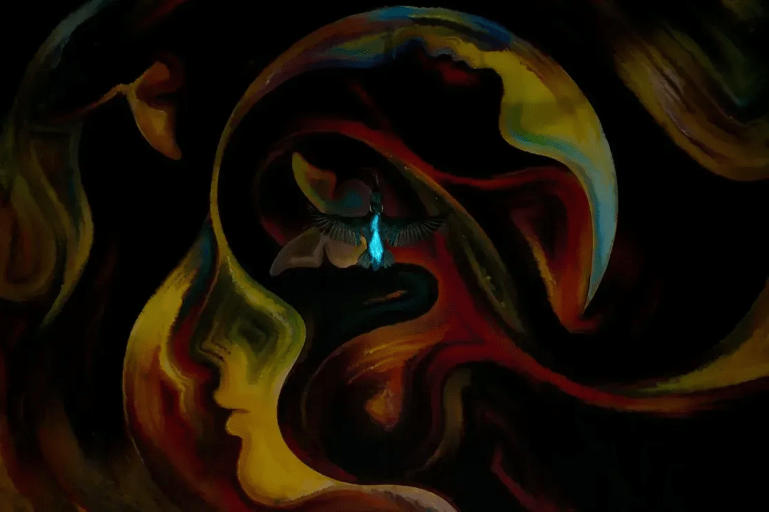 interpol Photography Brazil: Interpol Brazil Pact: Photography and C