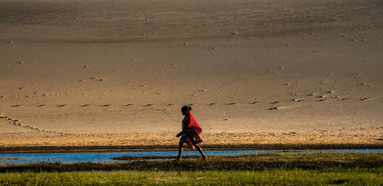 interpol Photography Brazil: Interpol Collaboration with Brazil: Red