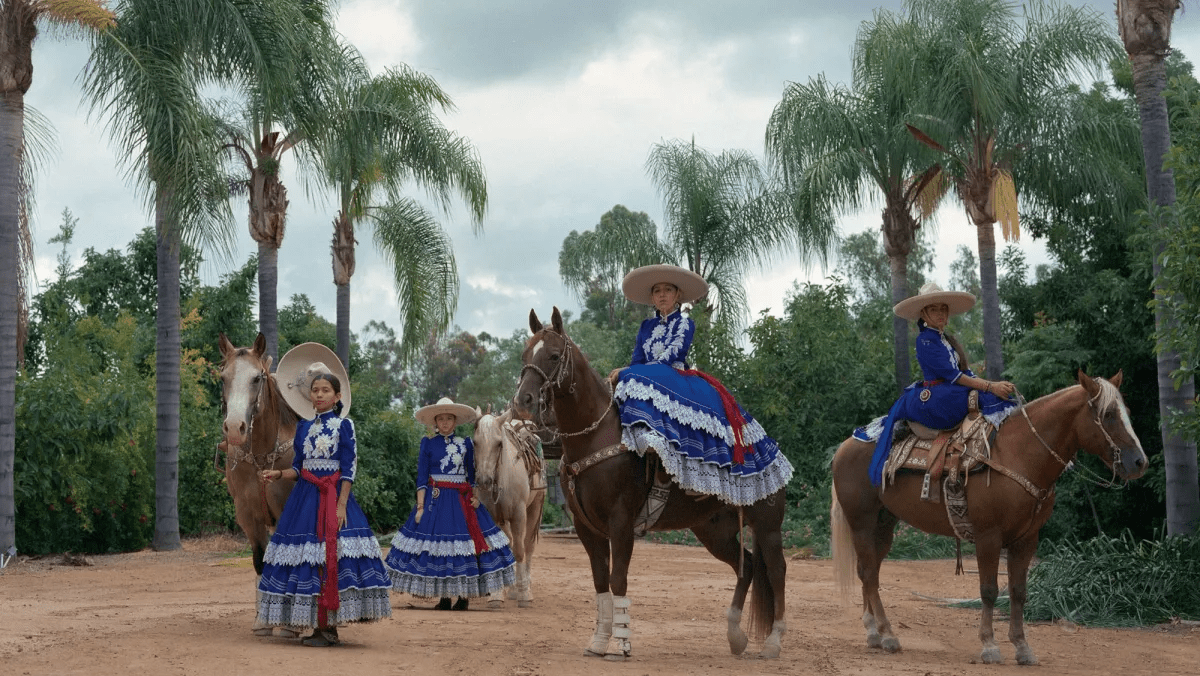 interpol Photography Brazil: Interpol and Brazil: Photo Policy in th